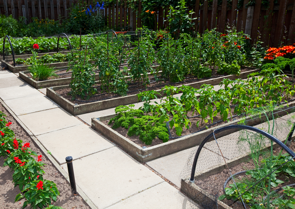 Level Up: 9 Power Tips To Maximize Your Garden All Year