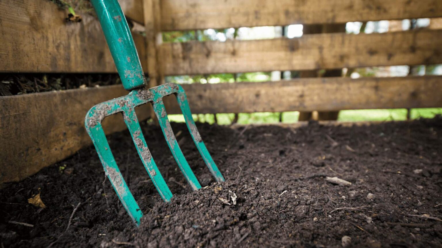 Will Mushroom Compost Burn Plants