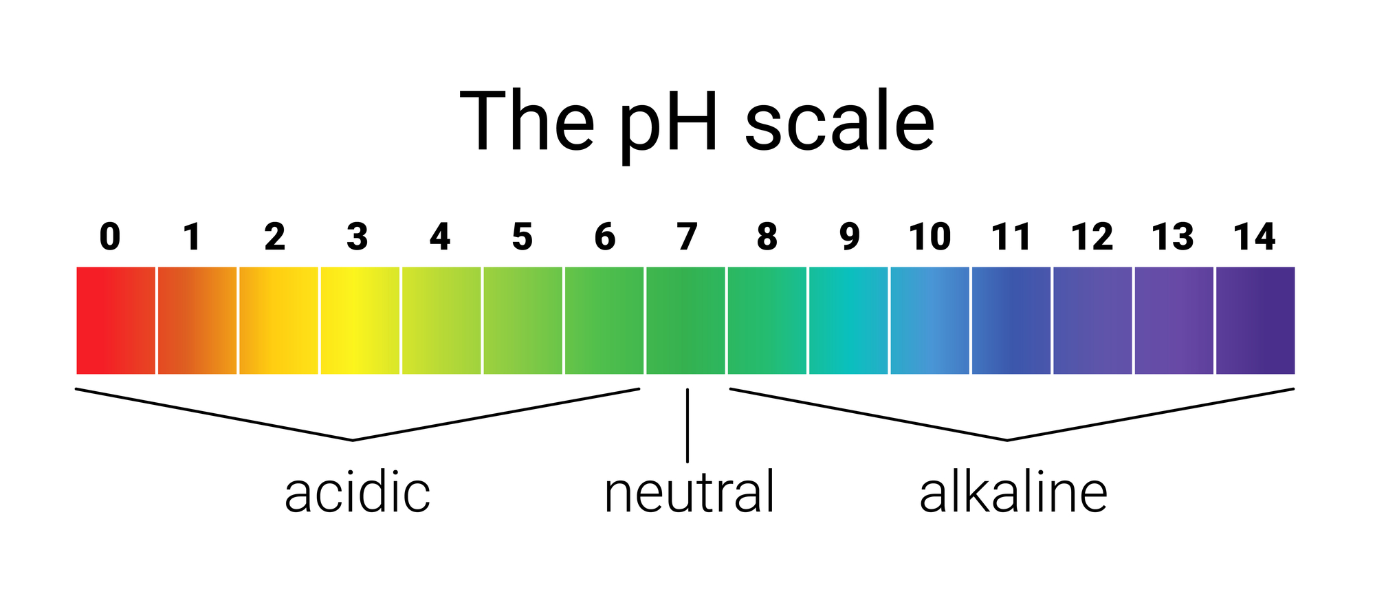 5 Signs Of Acidic Soil - PH Balance Matters