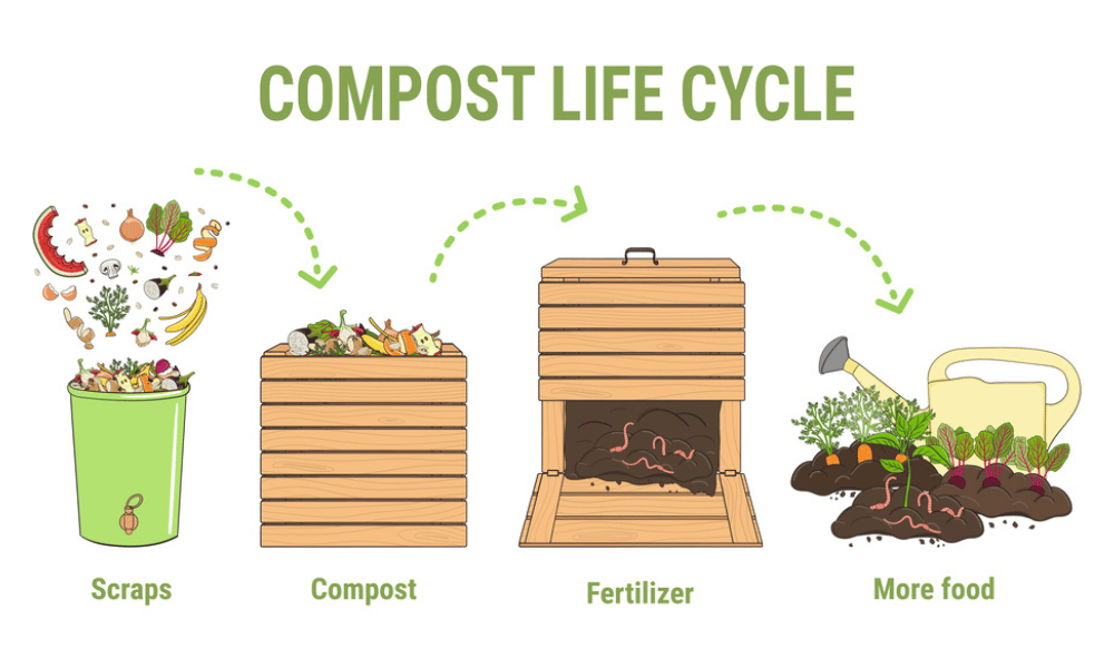 Can You Compost Rabbit Poop — Plus 4 Great Tips!