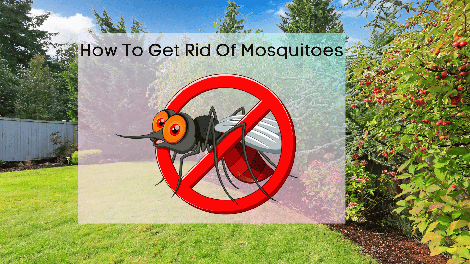 7-tips-to-get-rid-of-mosquitoes-for-your-outdoor-party